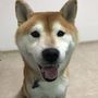 みき