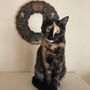 mickeycat