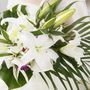 lily