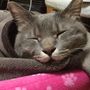 さっかーん