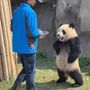 サイ