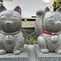 タケ