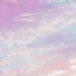 空と藤