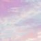 空と藤
