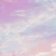 空と藤