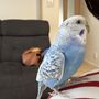ユウカ