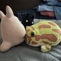 おもち