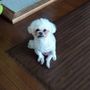 ベン