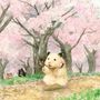 はむ