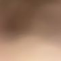 じじ
