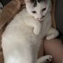 まちゅい