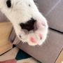 ひでき
