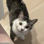 ぬー
