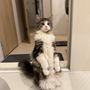 もずく