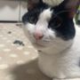 ゆうきち