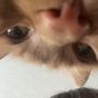 りさ
