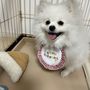 はるるん