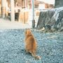 スーちゃん