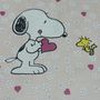 わらこ