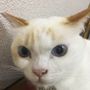 す
