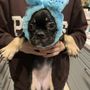 よこなり